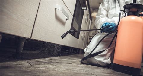 Roach exterminator cost. Things To Know About Roach exterminator cost. 